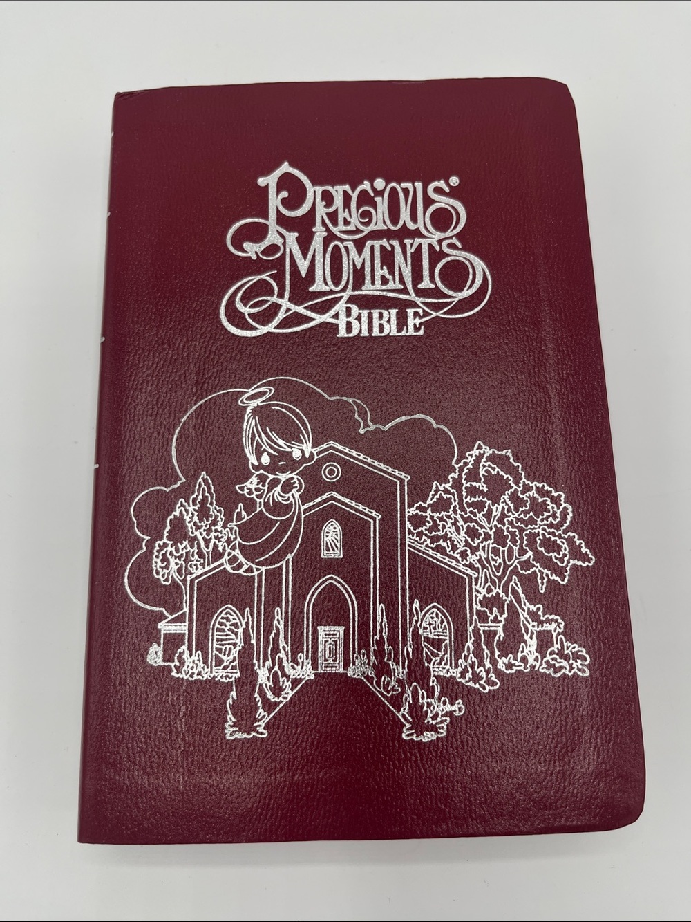 Precious Moments Bible